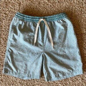 Chubbies Boys Lined Classic Swim Trucks